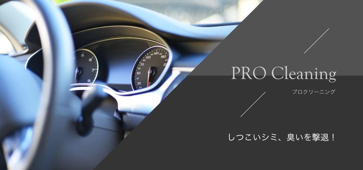 PROCleaning プロクリーニング　しつこいシミ、臭いを撃退！